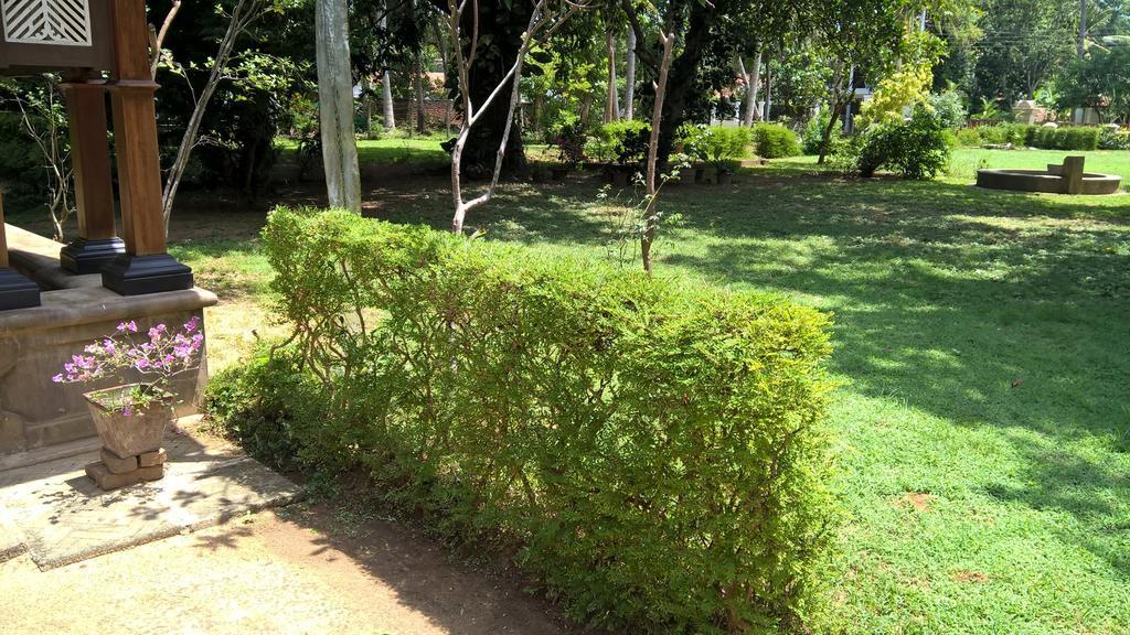 Anyaa Wellness Ayurveda Wennappuwa Ngoại thất bức ảnh